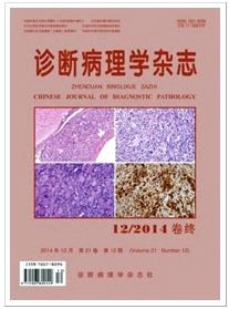 诊断病理学杂志医药杂志投稿须知