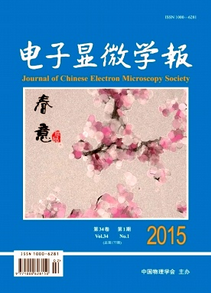 电子显微学报投稿论文栏目