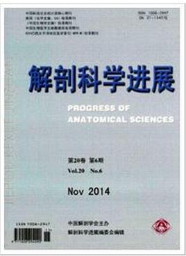 解剖科学进展论文发表版面费