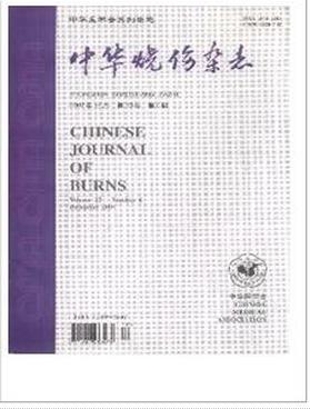 中华烧伤杂志期刊论文网