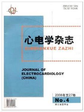 心电学杂志论文有哪些级别
