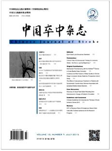 中国卒中杂志sci论文发表