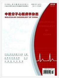 中国分子心脏病学杂志医学论文发表