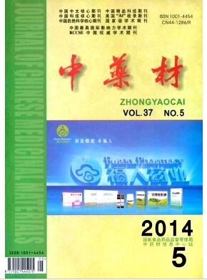 北大核心期刊《中药材》投稿