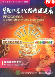 生物化学与生物物理进展核心期刊投稿