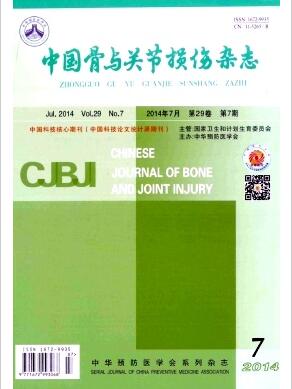 中国骨与关节损伤杂志投稿