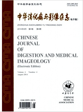 中华消化病与影像杂志职称论文格式