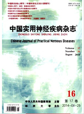 《中国实用神经疾病》一稿多投的后果