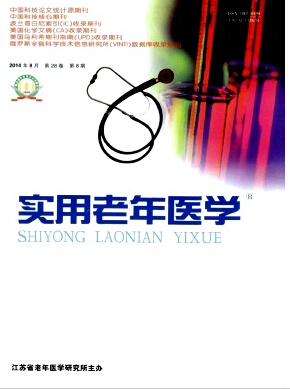 实用老年医学杂志是否为核心期刊