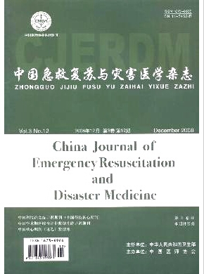 中国急救复苏与灾害医学杂志危重病诊断论文投稿