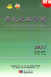 滮