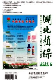 ����ֲ��