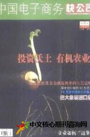 中国电子商务