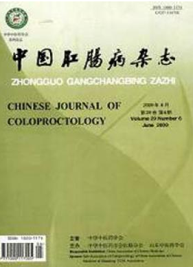 中国肛肠病山东医学刊物润色